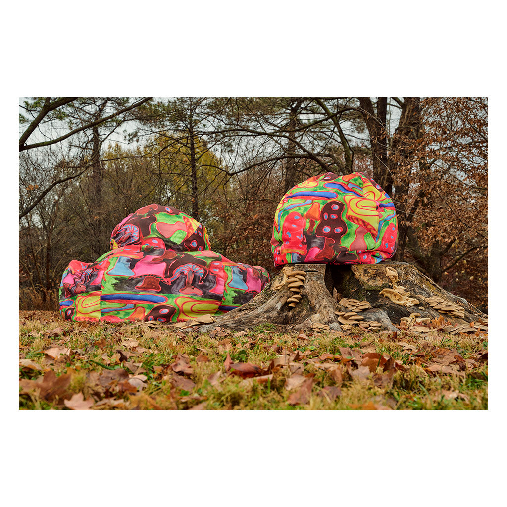 Magic Mushrooms