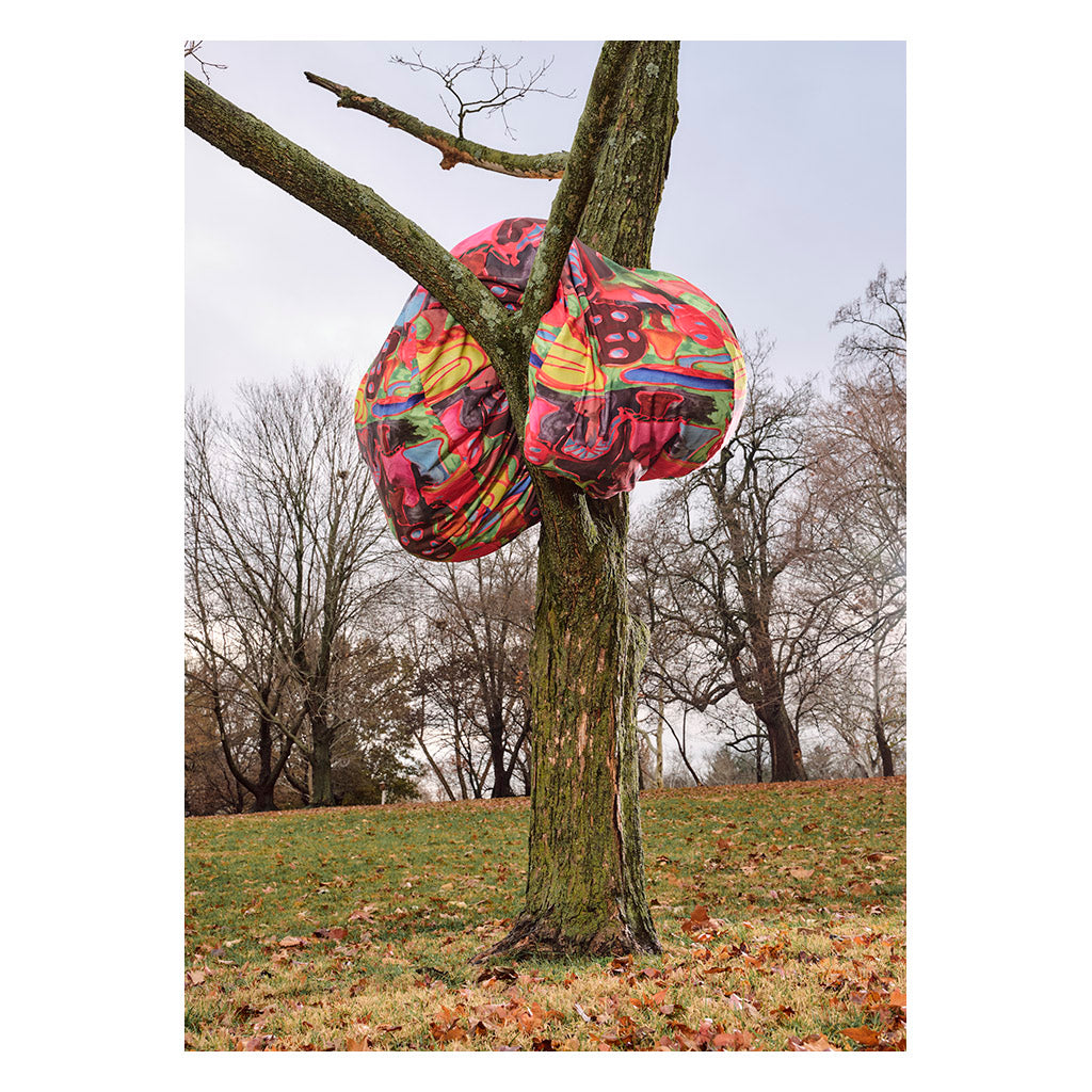 Magic Mushrooms